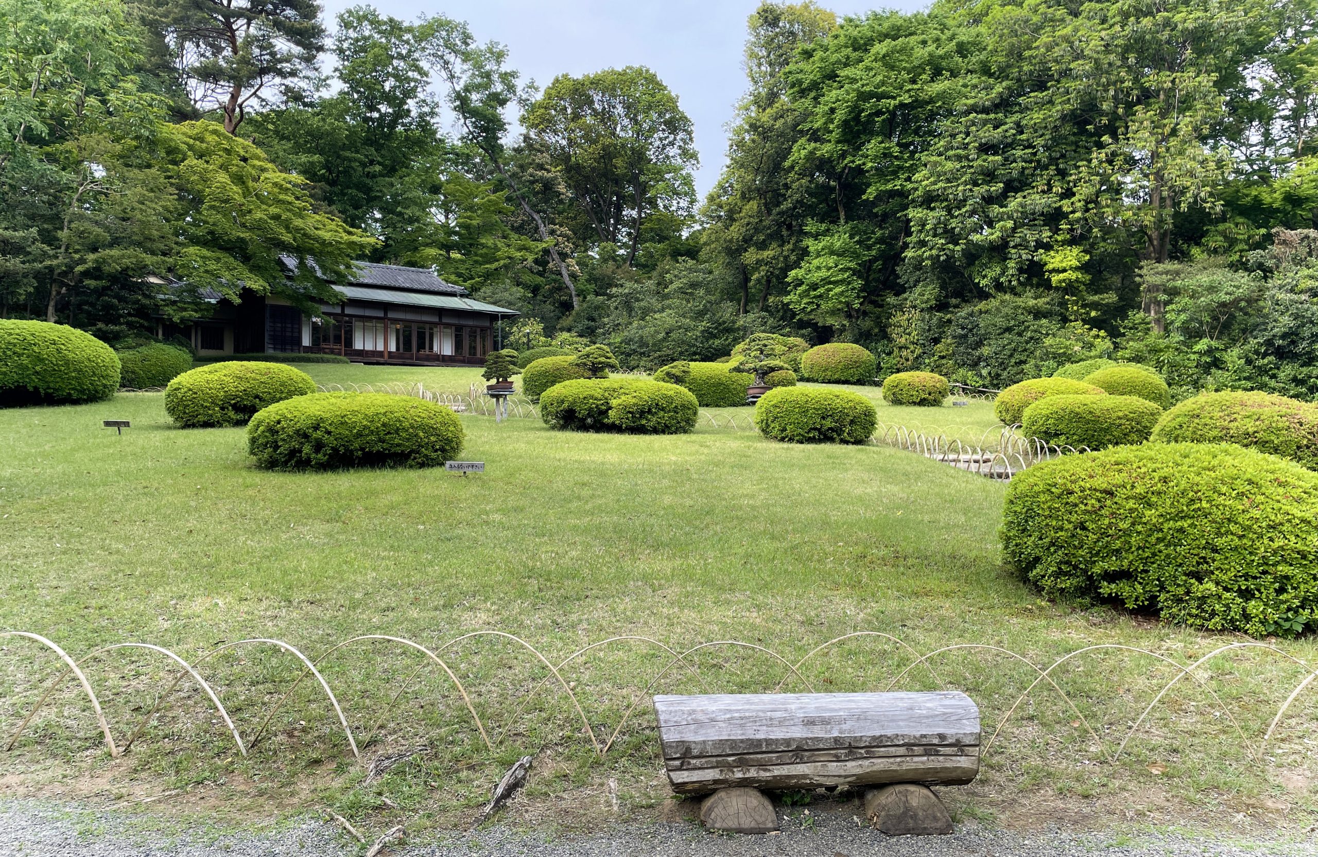 明治神宮御苑　隔雲亭